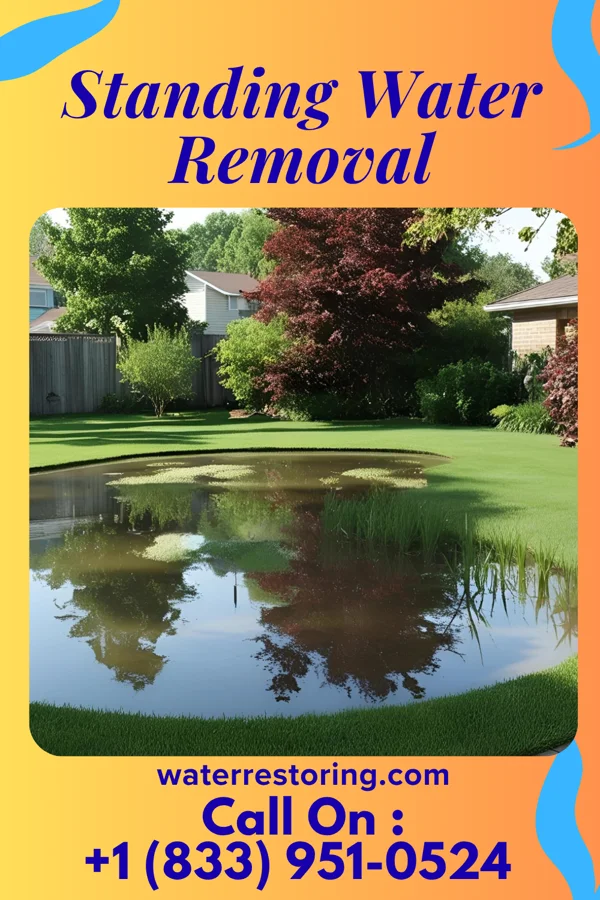 Standing Water Removal in Fosston, MN